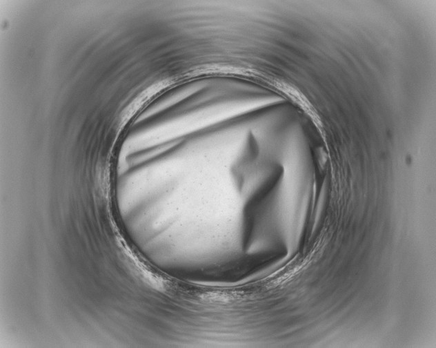 X0000087560898200705112144