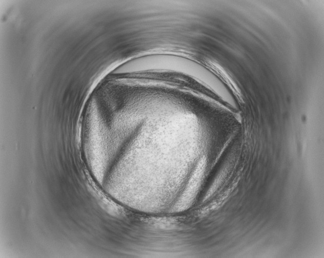 X0000087560900200705112144