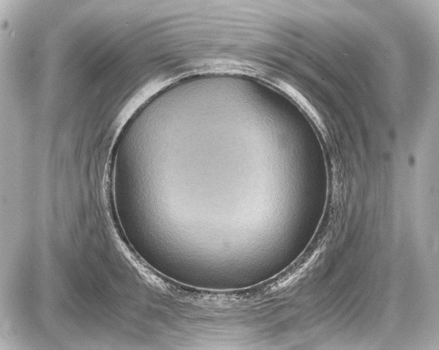 X0000087560901200705112144