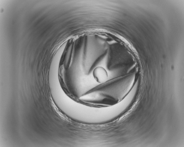 X0000087560905200705112144