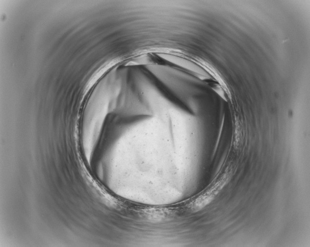 X0000087560906200705112144