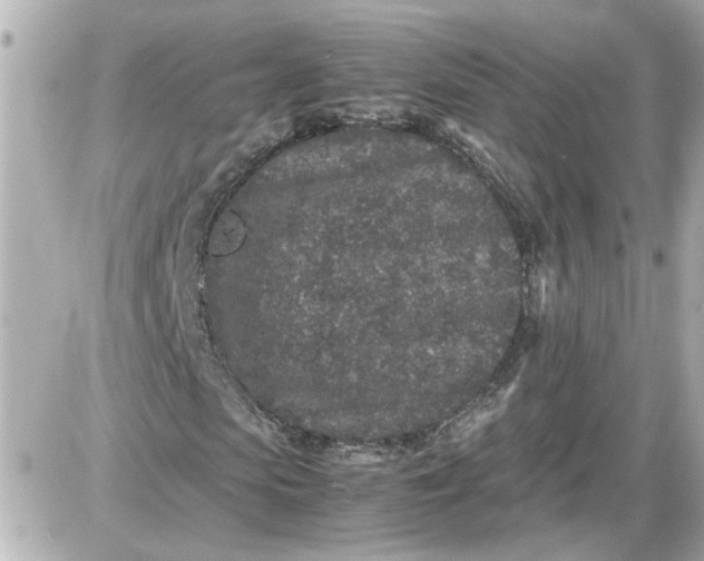 X0000087560913200705112143