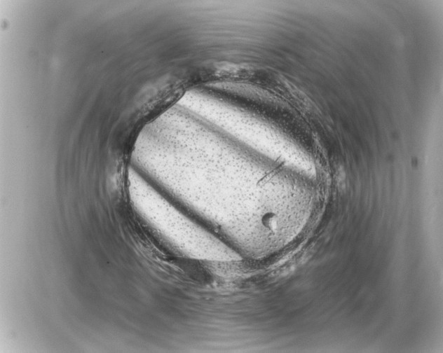 X0000087560914200705112143