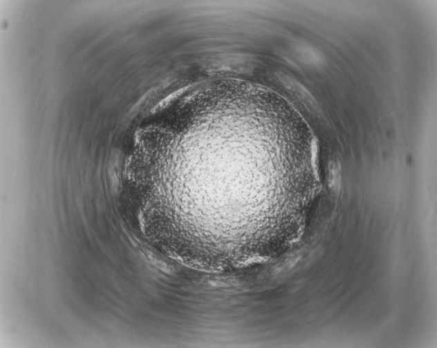 X0000087560915200705112143
