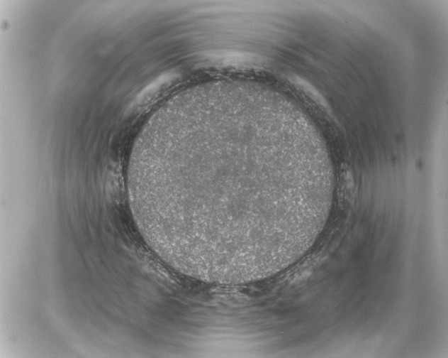 X0000087560918200705112143