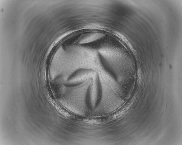 X0000087560931200705112143