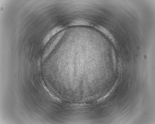 X0000087560937200705112144