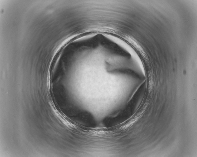 X0000087560940200705112144