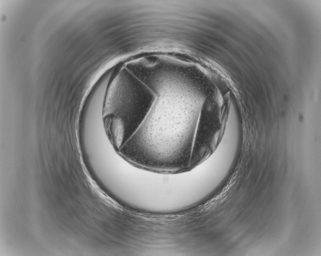 X0000087560942200705112144