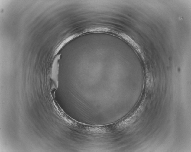 X0000087560945200705112144