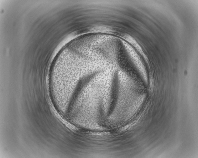 X0000087560947200705112144