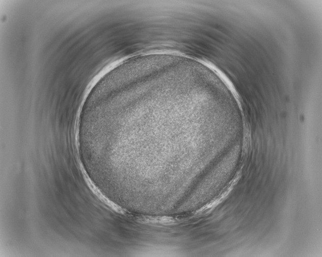 X0000087560957200705112144