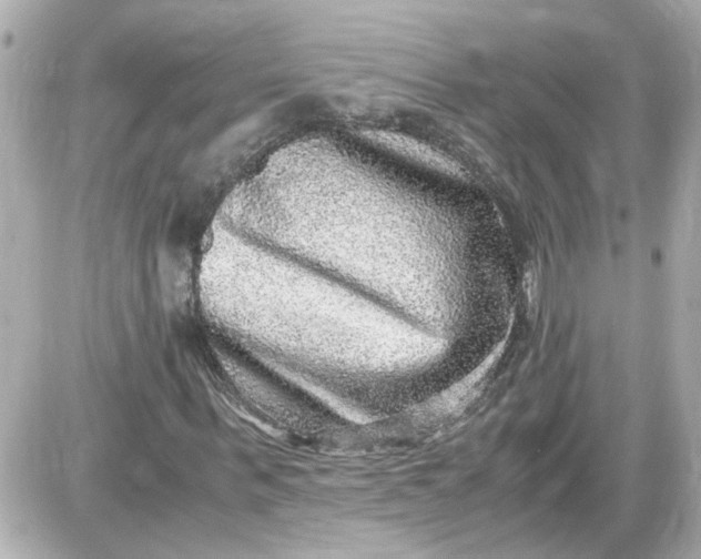 X0000087560963200705112143