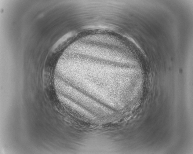 X0000087560967200705112143