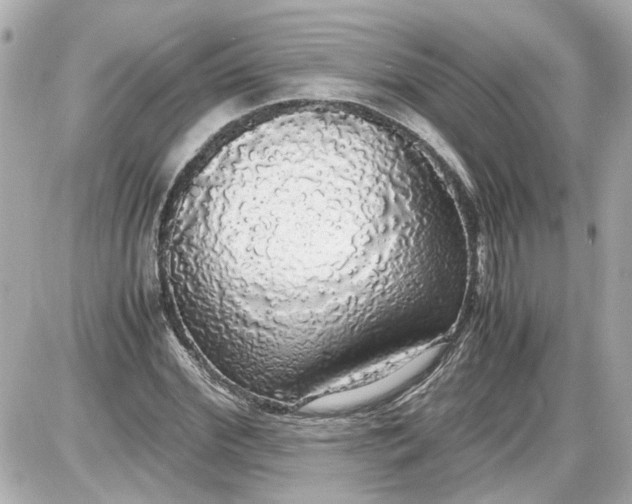 X0000087560972200705112143