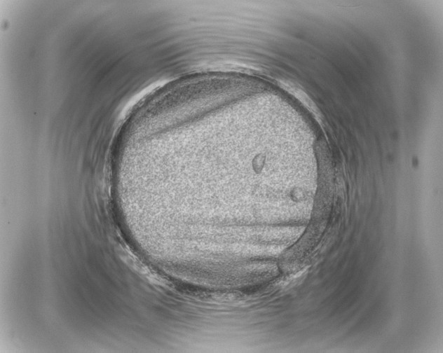 X0000087560979200705112143