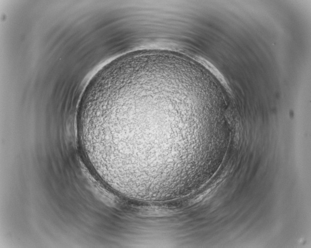 X0000087560980200705112143