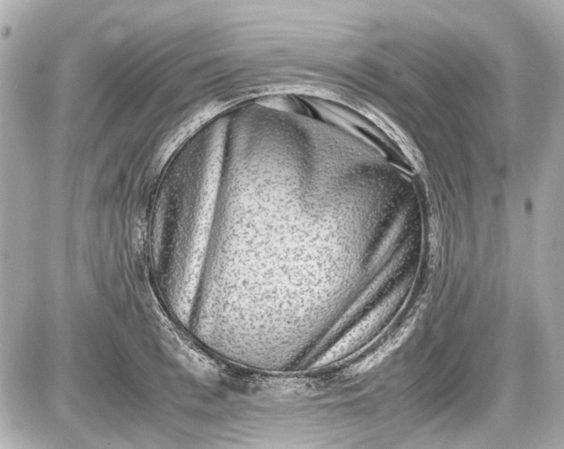 X0000087560993200705112143