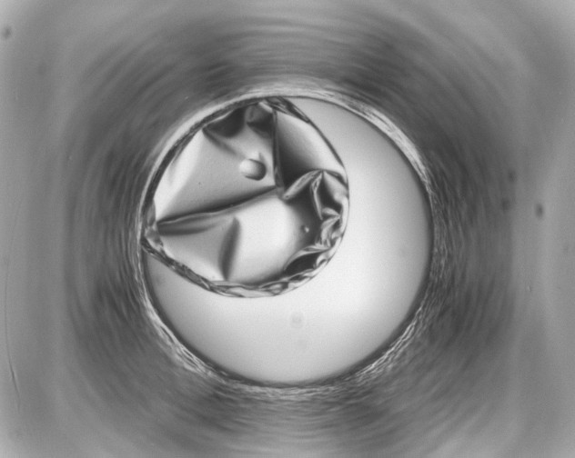 X0000087560996200705112143