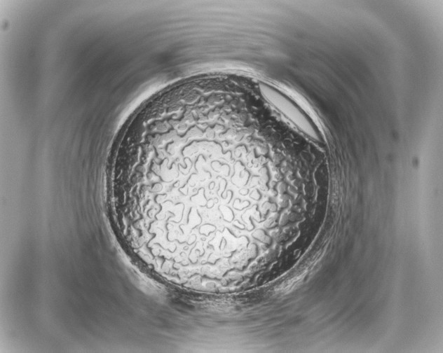 X0000087560999200705112143