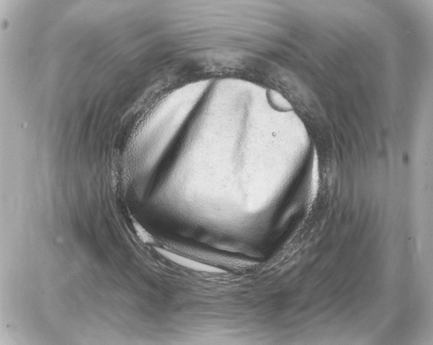 X0000087561012200705112142