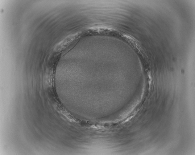 X0000087561014200705112142
