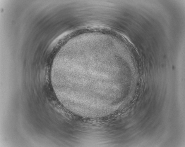 X0000087561016200705112142
