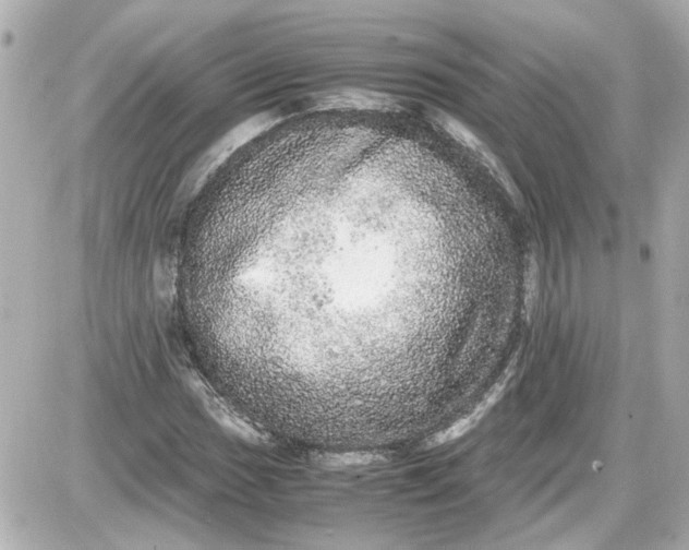 X0000087561017200705112142
