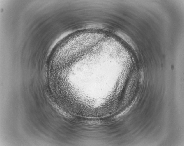 X0000087561021200705112142