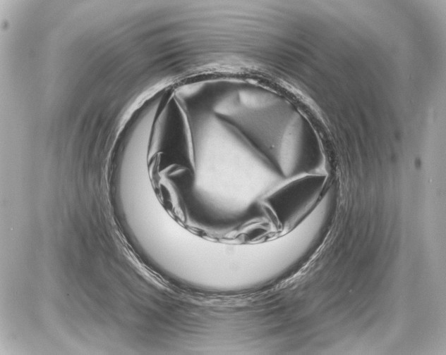 X0000087561026200705112142