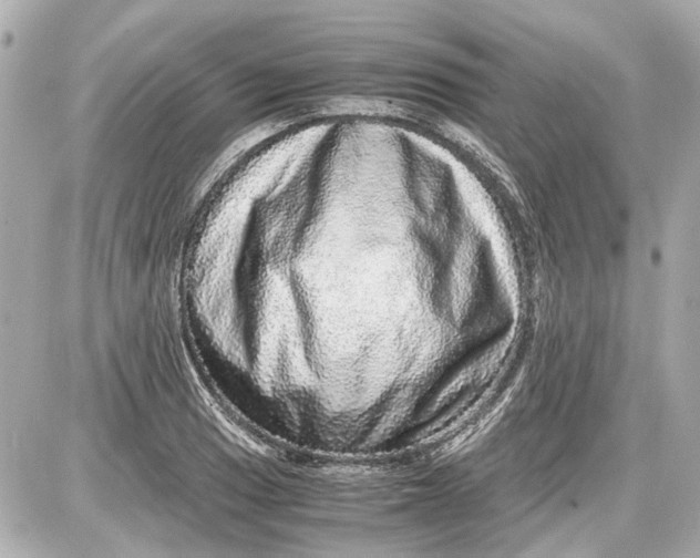 X0000087561033200705112142