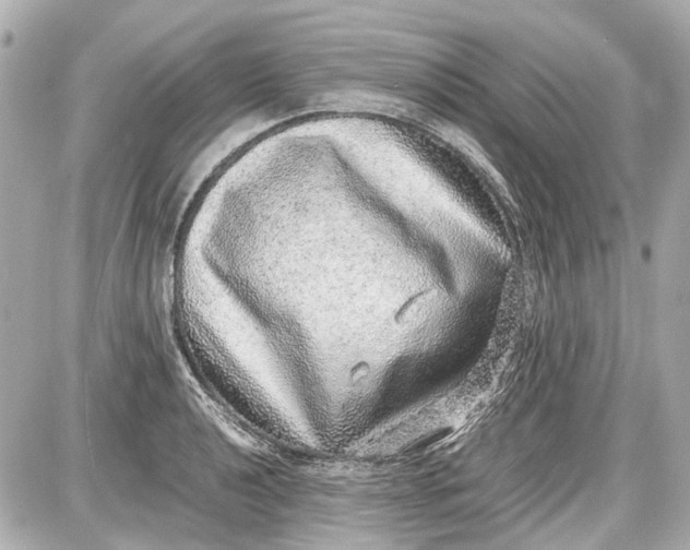 X0000087561040200705112142