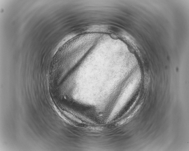 X0000087561041200705112142