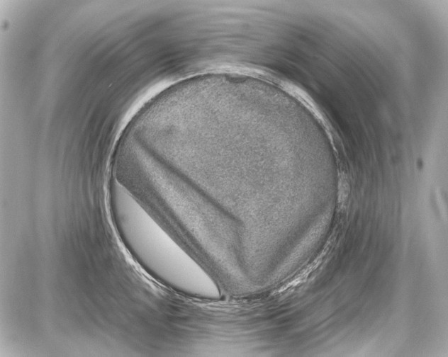 X0000087561048200705112142