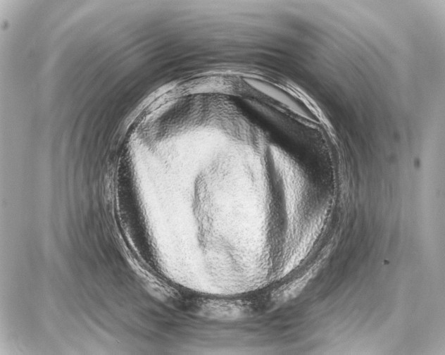 X0000087561049200705112142