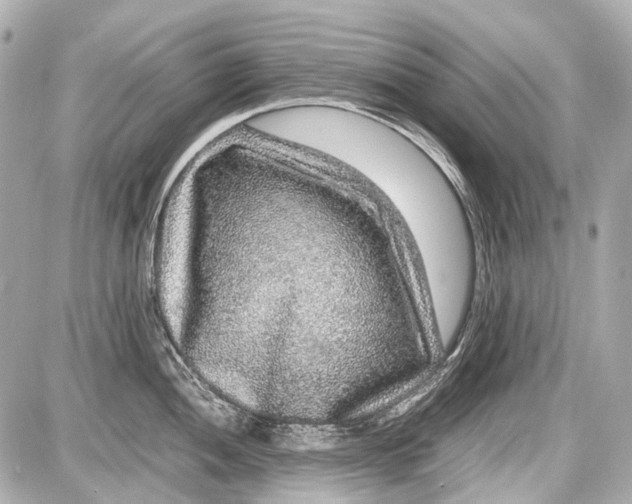 X0000087561052200705112142
