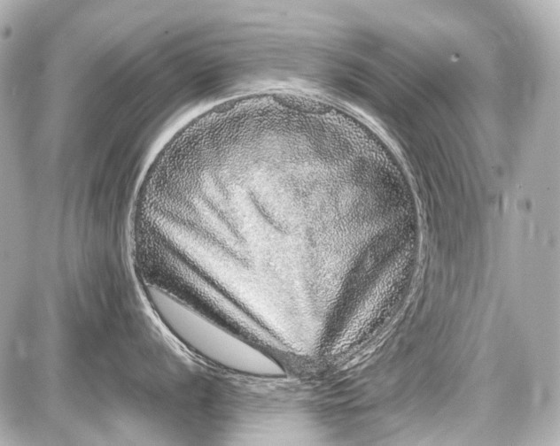 X0000087561056200705112142