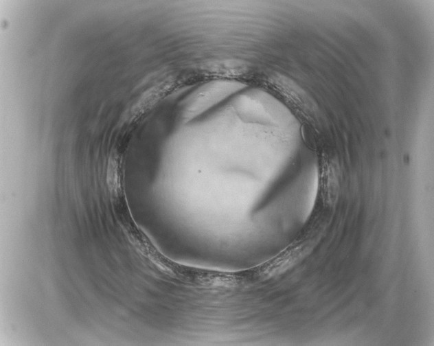 X0000087561058200705112142