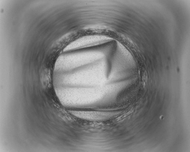 X0000087561062200705112141