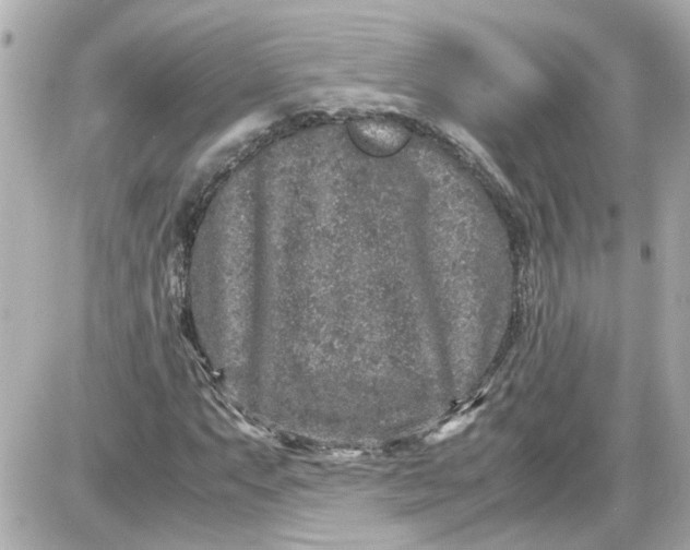 X0000087561063200705112141