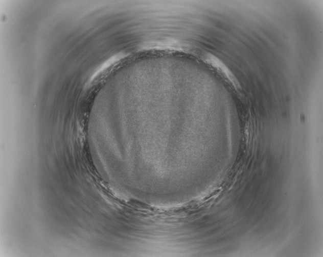 X0000087561064200705112141