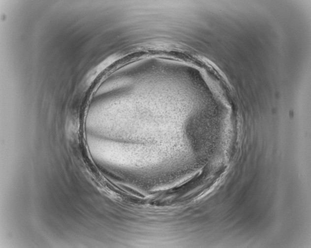 X0000087561065200705112141