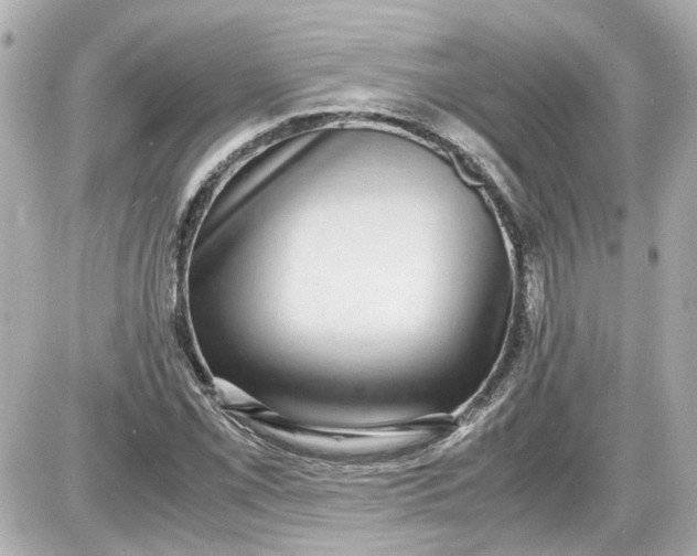 X0000087561069200705112141