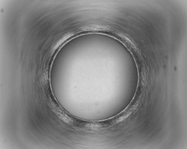 X0000087561073200705112141