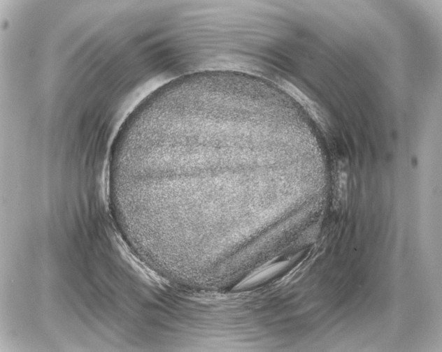 X0000087561076200705112141