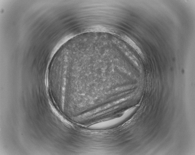 X0000087561084200705112141
