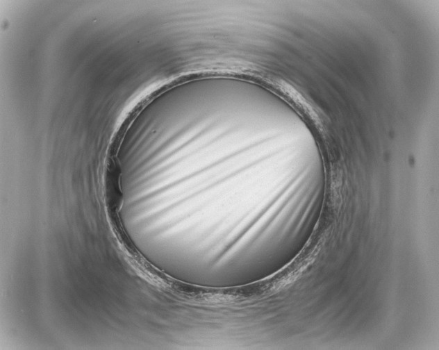 X0000087561085200705112141