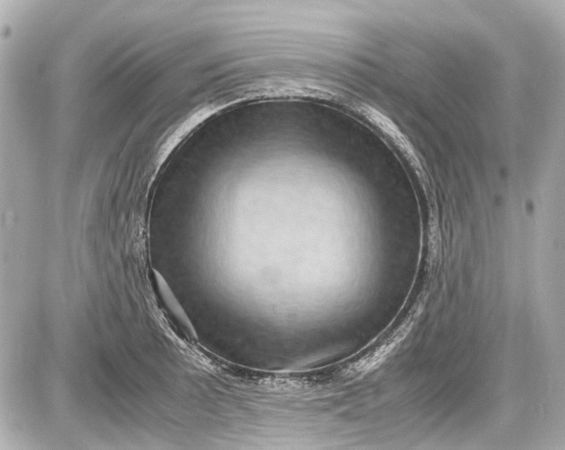 X0000087561089200705112141