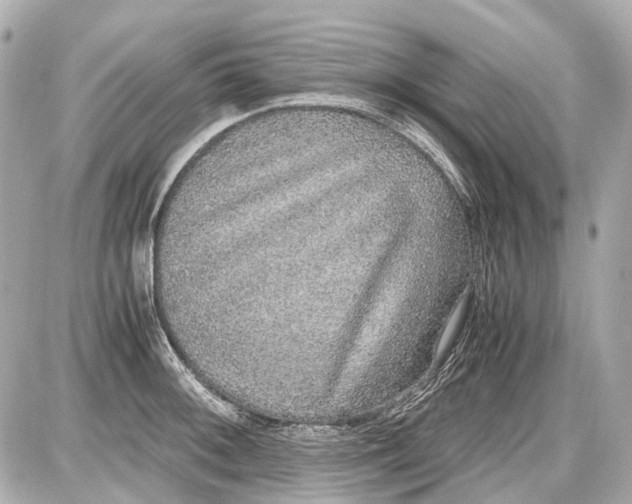 X0000087561092200705112141