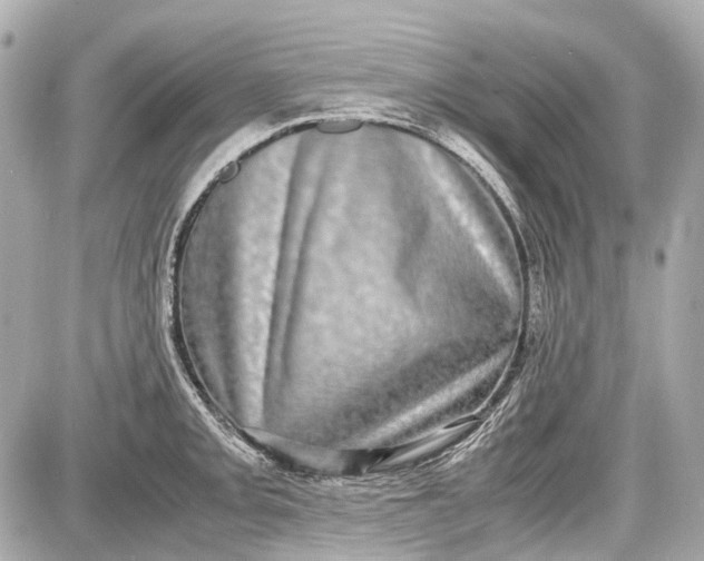 X0000087561093200705112141